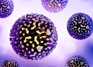 Hepatitis B Drugs Vastly HBV Virus Lancet