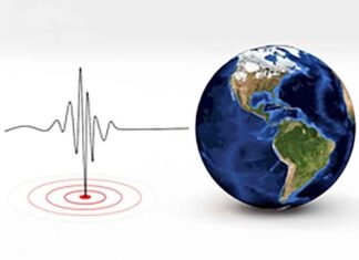 Earthquake Graph Sign