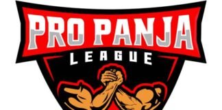Pro Panja League Logo