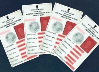 Voter ID cards
