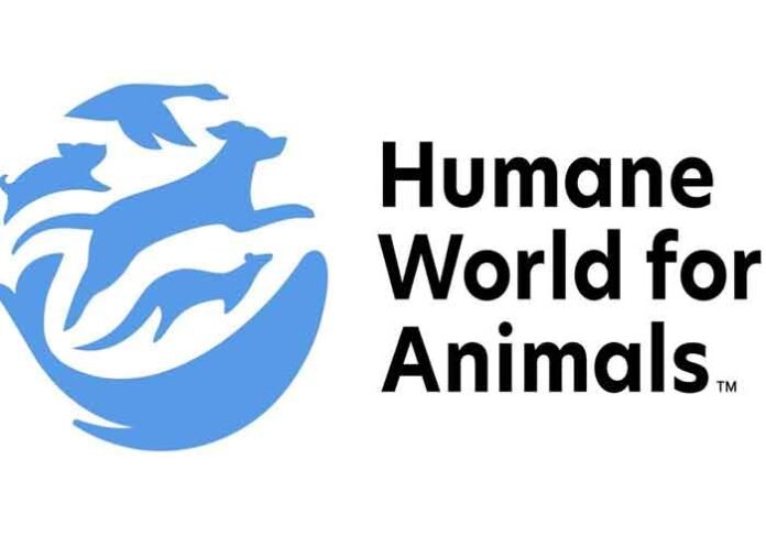 Animal Protection Organizations humane world for animals