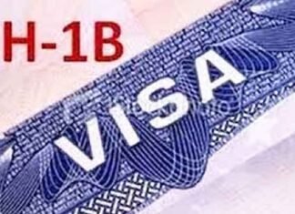 Texas Governor Abbott Orders Freeze on H-1B visas H-1B visa