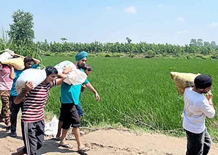 Punjab youth lead flood relief