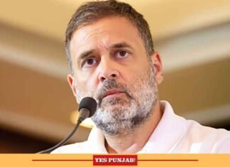 ‘Govt follows protocol’: BJP respond after Rahul Gandhi remarks on Oppn-Putin meeting Rahul Gandhi Congress Leader and LoP 1