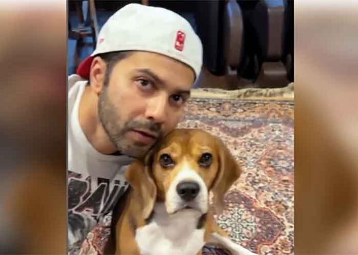 Varun Dhawan grooves with his pet Joey