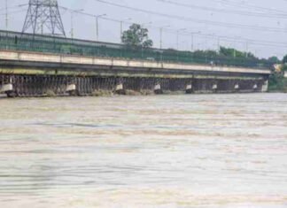 Report on proposed Yamuna water transfer from Haryana to Rajasthan soon: Centre Yamuna water level at Old Railway Bridge