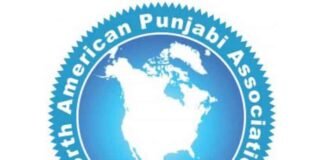North American Punjabi Association NAPA Logo