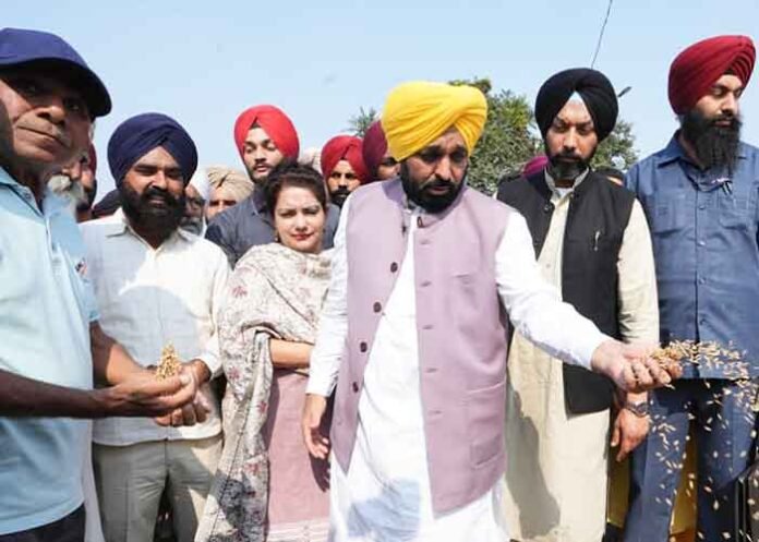 Punjab CM Mann seeks GOI relaxation in paddy