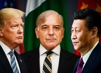Shehbaz Sharif Xi Jinping Donald Trump