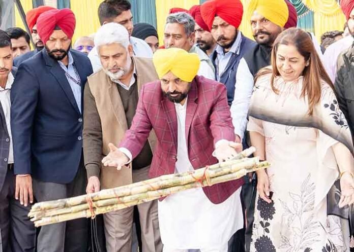 CM Mann raises sugarcane price