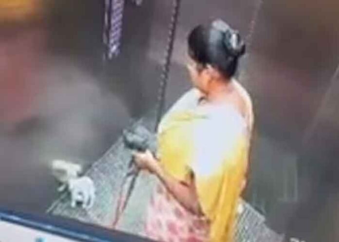 Domestic worker smashes puppy to death inside apartment lift