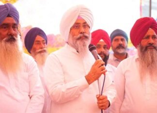 Punjab Govt Promoting Ideology of Guru Sahibaan, Aims To Connect Youth With History: Harmeet Sandhu Harmeet Sandhu AAP Victory in Tarn Taran