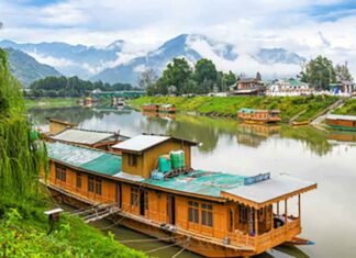 Seven Years After Article 370, Infrastructure and Economic Growth Redefining J&K: Report Jammu and Kashmir Srinagar