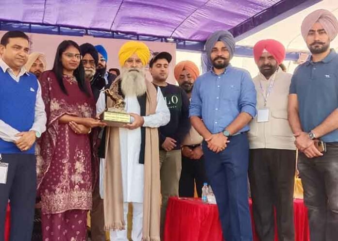 Punjab Equestrian Festival