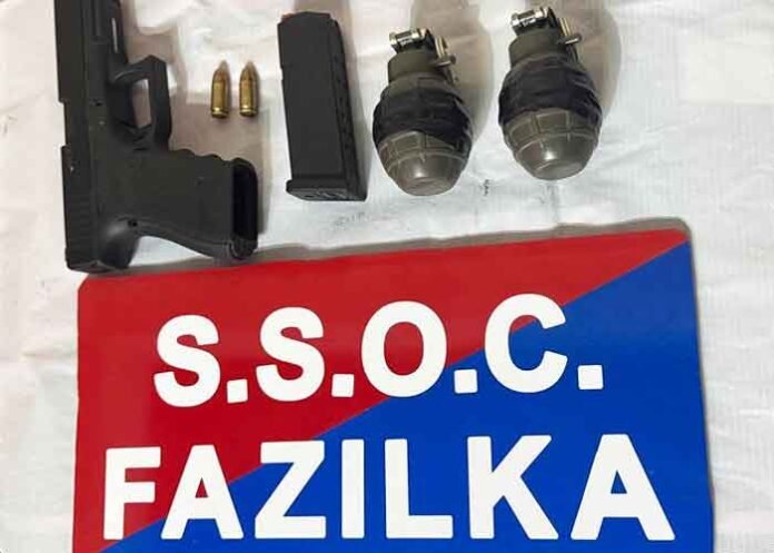 Punjab police bust cross-border weapon