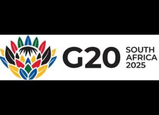 Deepening trade, debt sustainability, critical minerals key focus areas at G20 Summit: SA Envoy