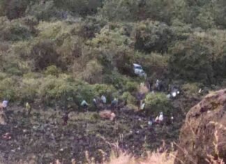 6 killed as car falls into 800-foot ravine in Maharashtra’s Nashik; PM Modi expresses grief