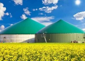 Excise waiver on CBG-CNG blend can unlock Rs 1 lakh crore investment: IBA Biogas