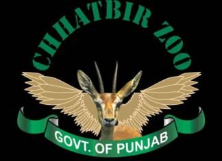 Over 5 Lakh Visitors, Including 62,000 Students, Explored Chhatbir Zoo in 2025 Chhatbir Zoo