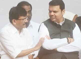 Devendra Fadnavis Sanjay Raut
