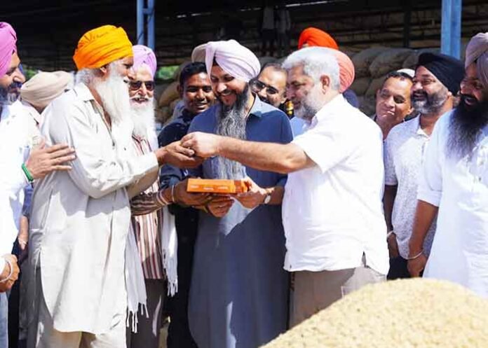 Punjab Govt ensures smooth Wheat & Paddy procurement
