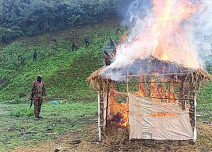Acres of illegal poppy fields in Manipur