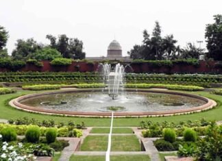 Amrit Udyan opens for public from February 3, QR codes introduced for identifying plants Amrit Udyan at Rashtrapati Bhavan