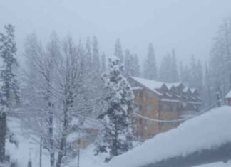 Snowfall in J&K brings roadblocks, power cuts; BRO works to make Srinagar Airport operational