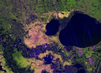 India-US NISAR radar image maps Mississippi Delta