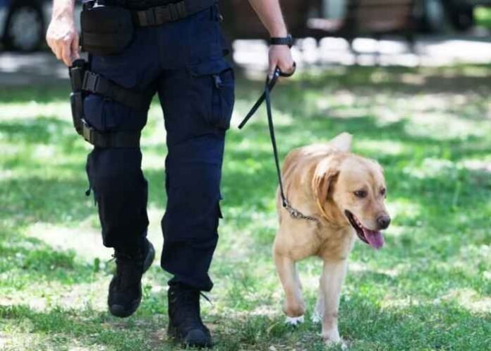 Police Dog