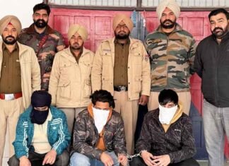 Targeted Killing Averted in Bathinda; Punjab Police Arrest Three Linked To Arsh Dalla Gang, Recover 4 Pistols Punjab Police foil a targeted killing in Bathinda