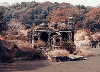 Rajasthan: Mobile phones banned during Ranthambore Safari under SC guidelines Ranthambore National Park