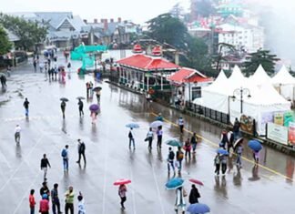 Shimla, Manali get season’s first snowfall; brings cheers to locals, tourists Shimla Manali snowfall