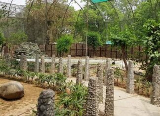 Chhatbir Zoo records visitors