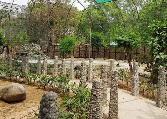 Chhatbir Zoo records visitors