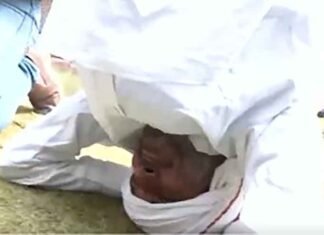 Congress MLA’s headstand protest before Mahatma Gandhi statue in MP Assembly over FIRs Congress MLA Babu Jandel performs headstand protest