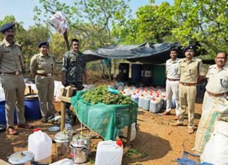 Koraput Police bust interstate hashish oil unit, seize contraband worth ₹225 crore Koraput Police bust interstate hashish oil unit