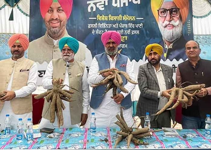Punjab MLAs promote cassava farming