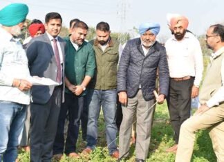 Punjab Govt takes possession of 10.50 acres of land for Sri Guru Ravidass Bani Adhyayan Centre: Harpal Cheema Punjab secures 10.5 acres in Jalandhar