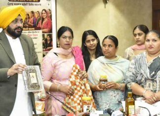 Sond to honour 14,100 women entrepreneurs