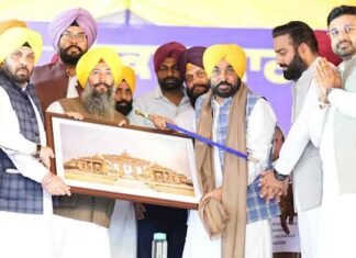 CM Mann lays foundation