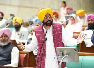 Punjab CM Bhagwant Mann in Assembly budget