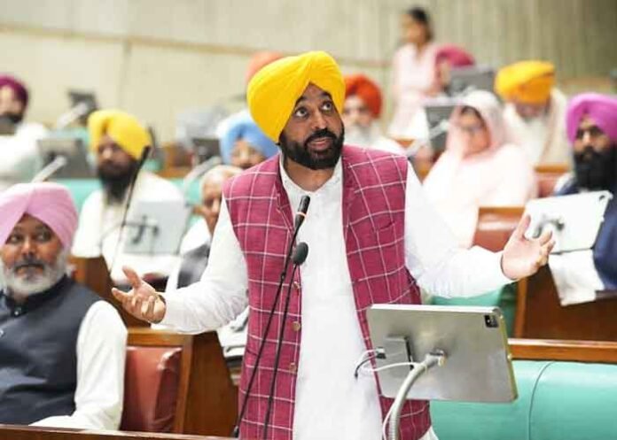 Punjab CM Bhagwant Mann in Assembly budget
