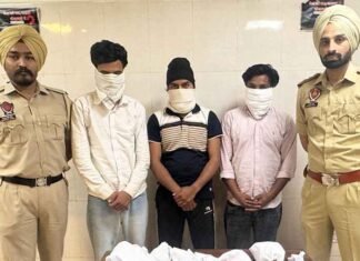 Punjab Police busted a mule account gang