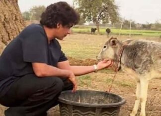 Sunil Grover shares video feeding a calf