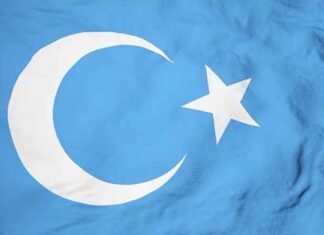 World Uyghur Congress flag