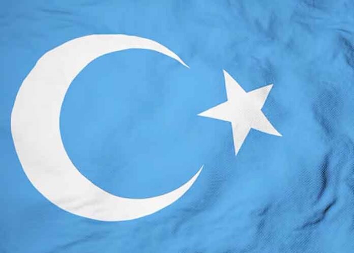 World Uyghur Congress flag