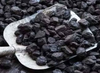 coal stock production