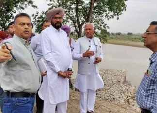 Barinder Goyal Reviews Arrangements