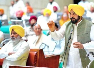 Punjab Passes Anti-Beadbi Amendment Bill in Special Session; Says No One Will Dare Commit Sacrilege: CM Bhagwant Mann CM Mann in Punjab Assembly passes bill